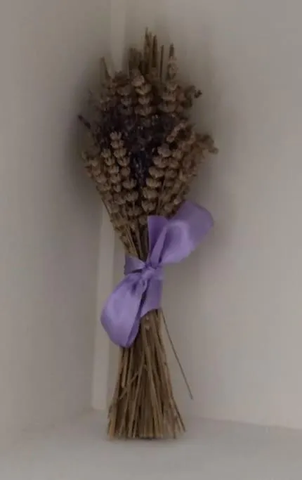 House Lavanda Njivice Chorvatsko